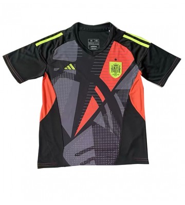 España Portero Segunda Equipación Eurocopa 2024 Manga Corta